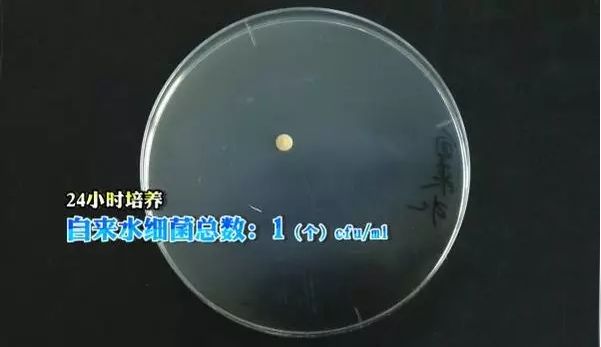 13.png