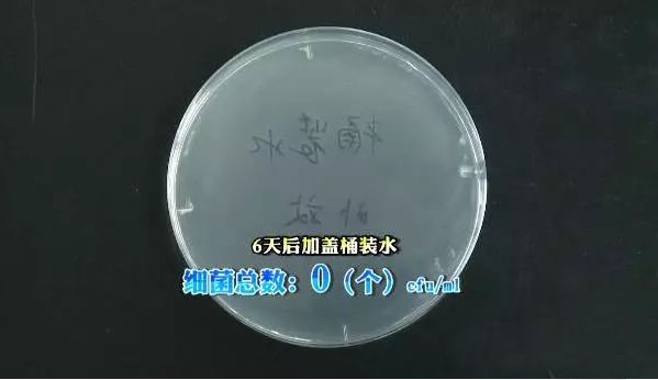 24.png